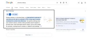Example of Google AI Overview result showing AI-generated summary