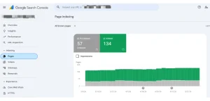 Google Search Console Page Indexing report displaying indexed and non-indexed pages for SEO analysis