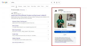 A Google Knowledge Panel for Adidas showing how brands are recognized as entities, helping explain what is entity SEO and how Google understands organizations.